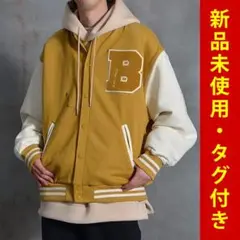 Item thumbnail for item 8910e3a1-8da9-4722-a819-ca0b2c35be17