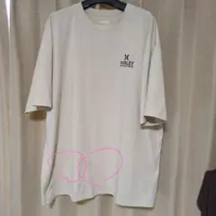 HURLEY 速乾性Tシャフト Lサイズ