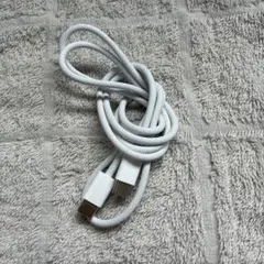 【Apple純正】USB Type-C to USB Type-A 充電ケーブル