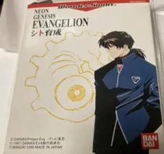 新世紀エヴァンゲリオン シト育成 ワンダースワン