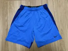 Nike ショートパンツ 青/ネイビー サイズL