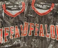 新品未使用BUFFALOES 夏の陣ユニフォーム 2枚セットポーチ3点セット