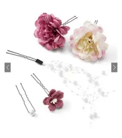 Item thumbnail for item 8f423099-6fd2-434b-98e9-14e7e8639487