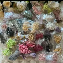 Item thumbnail for item ea0d9cf1-ad47-4681-ab39-b551e39d62f8