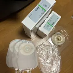 Item thumbnail for item fd1d951f-f949-40ae-bf98-6c6021e2a82a