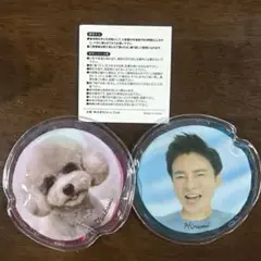 郷ひろみさんグッズ　ファンクラブイベントお土産保冷剤