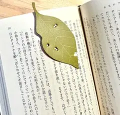 まるで紅葉のようにゆっくり経年変化する柿の葉のしおり