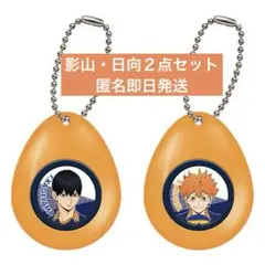 ハイキュー　サウンドロップ　ガチャ　影山飛雄　日向翔陽　２点セット