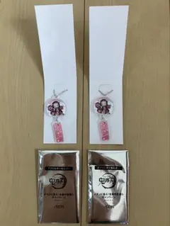 鬼滅の刃 イオン アクリルキーホルダー 竈門禰豆子 2点セット