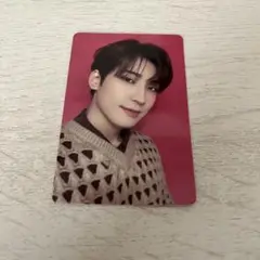 seventeen ウォヌ トレカ