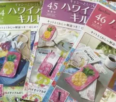 キャシーといっしょにハワイアンキルト パイナップルのトラベルケース