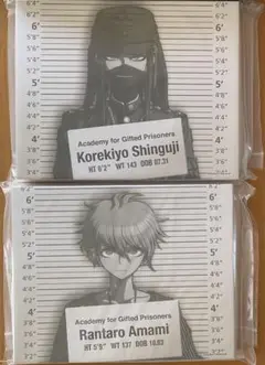 ダンガンロンパ アニメイト オンラインくじ A賞 キャンバスボード 左右田和一 ダンガンロンパ1・2 Reload - 左右田和一 Ani-Art キャンバス