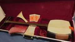 Item thumbnail for item 33bc5e6c-0b52-45a6-b869-e87e02f09dc7
