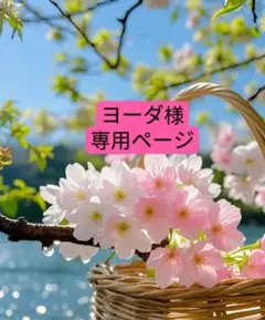 ヨーダ様　専用ページ