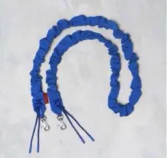 topologie Bungee Strap FUTURE BLUE