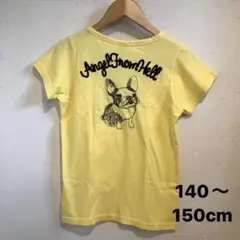 フレンチブル　刺繍Tシャツ 子供用　140cm 150cm