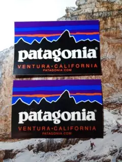 新品☆2枚セットパタゴニア patagonia ステッカー　CLASSIC