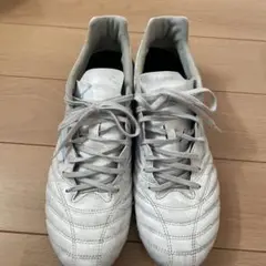 ミズノモナルシーダネオ