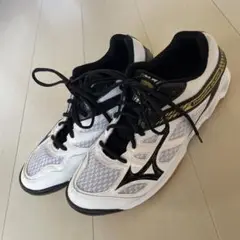 Mizuno Thunder Blade バレーボールシューズ　28.0cm