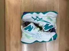 Item thumbnail for item 20567b7f-0017-4c2f-9008-4e66c500f4f0