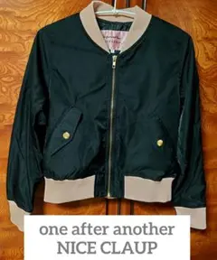 Item thumbnail for item 4268fbaa-2a59-4372-9a99-6661cc0e4c8f