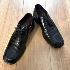 Item thumbnail for item 5d8c1f4e-1b1d-4c4b-a4c3-3d88f05a4912