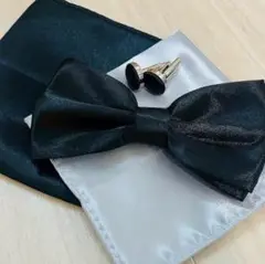 Item thumbnail for item dba31a24-bb3a-4cc5-9145-a32a188bebba