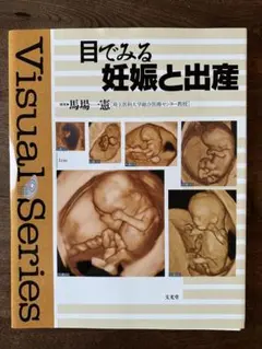 【業者裁断済】目でみる妊娠と出産