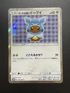 ポンチョを着たイーブイ 143/SM-P グレイシア