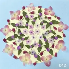 押し花 042 アジサイ エリカ 千日紅 バーベナ