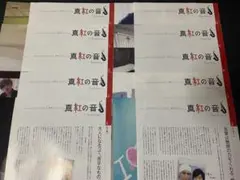 Myojo 真紅の音 山田涼介 vol.21～30 セット