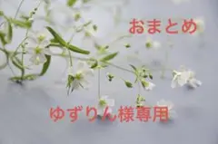ワイヤーアート ワイヤークラフト アメリカンフラワーディップアート