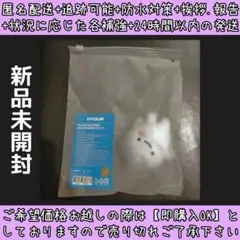 新品未開封 le sserafim ユンジン fim's club ぬいぐるみ