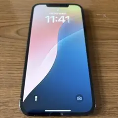 iPhone12 promax 256GB