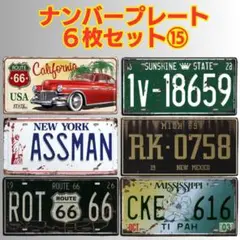 ⑮【6枚セット】アメリカン ナンバープレート ブリキ看板 USA風 ディスプレイ