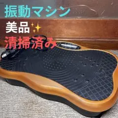 【美品】ブルブル振動マシン　PS-CFU001 足腰鍛える君　エクササイズ