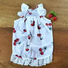 犬服 ワンピース さくらんぼ柄 Lサイズ さくらんぼブローチ付き ✩未使用品✩