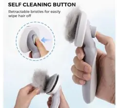 Item thumbnail for item 0bcbf341-c553-4306-9da0-01fa59b74c2a