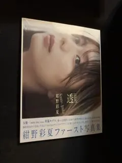 紺野彩夏　ファースト写真集①