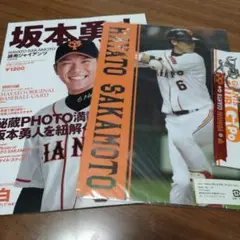 坂本勇人　雑誌・下敷き