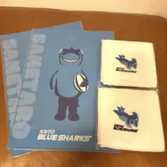 ラグビー　KOTO BLUE SHARKS クリアファイル　タオル2枚セット