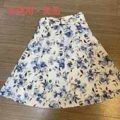 Item thumbnail for item 31e106f5-cd86-401f-bcbf-359f394d6594