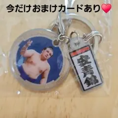 【未開封】大相撲　NEW！ ダブルチャームメタルキーホルダー　安青錦　ガチャ