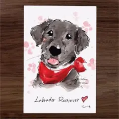イラスト 原画 ポストカード 絵 【ラブラドールレトリバー】97