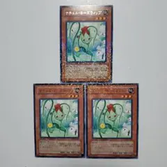 遊戯王　ナチュルローズウィップ　3枚