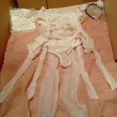 Item thumbnail for item 62c97a18-1eff-484e-9d57-41bfbd4b472e