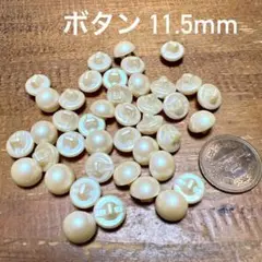 日本製　アイボリー ボタン 11.5mm 約50個