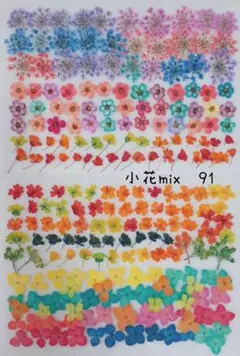 小花mix押し花 91