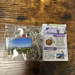 街ガチャ in余市 キーホルダー