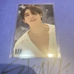 straykids MAXIDENT トレカ ハニ タワレコ特典